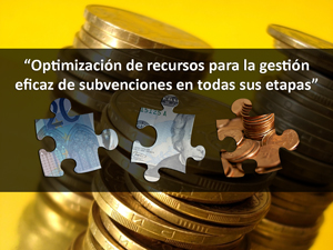 Optimización de recursos para la gestión eficaz de subvenciones en todas sus etapas