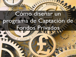 ¿Cómo Diseñar un Programa de Captación de Fondos Privados?