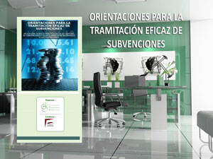 Seminario: Orientaciones para la tramitación eficaz de subvenciones