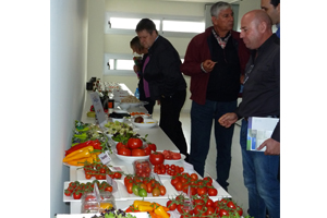 Tecnova organiza una degustación con productos hortofrutícolas ante representantes de ‘Marks Spencer’