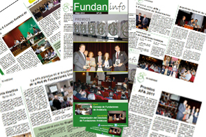 Análisis del Consejo Andaluz de Fundaciones en el boletín FundanInfo nº 20