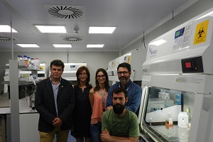 La Fundación Fibico estudia como tratar el cáncer cutáneo sin lesionar la piel no afectada