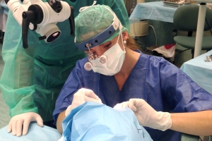 Salud entrena a los alumnos del Máster de Cirugía Bucal de la Universidad de Sevilla en técnicas mi-croquirúrgicas