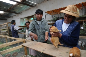 La Fundación Social Universal apuesta por el desarrollo económico inclusivo en el Perú