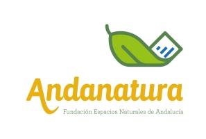 Clausurado el proyecto de dinamización de empresas »Empresa y Tradición»