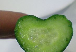 Tecnova realiza un ensayo agronómico en pepinos con forma de corazón para San Valentín