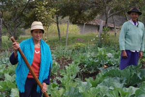 La FSU prosigue su trabajo de cooperación en favor de la mejora de la gestión pública y de la seguridad alimentaria en Perú y Ecuador