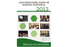 Memoria de Actividades 2013