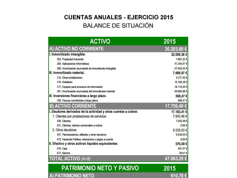 Cuentas Anuales 2015