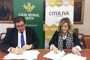 Citoliva y la Fundación Caja Rural de Jaén avanzan en la mejora de la calidad de los aceites de oliva