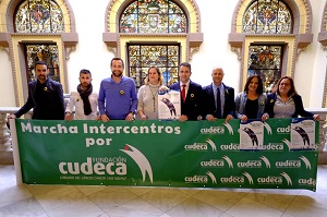 V Marcha Intercentros por la Fundación Cudeca