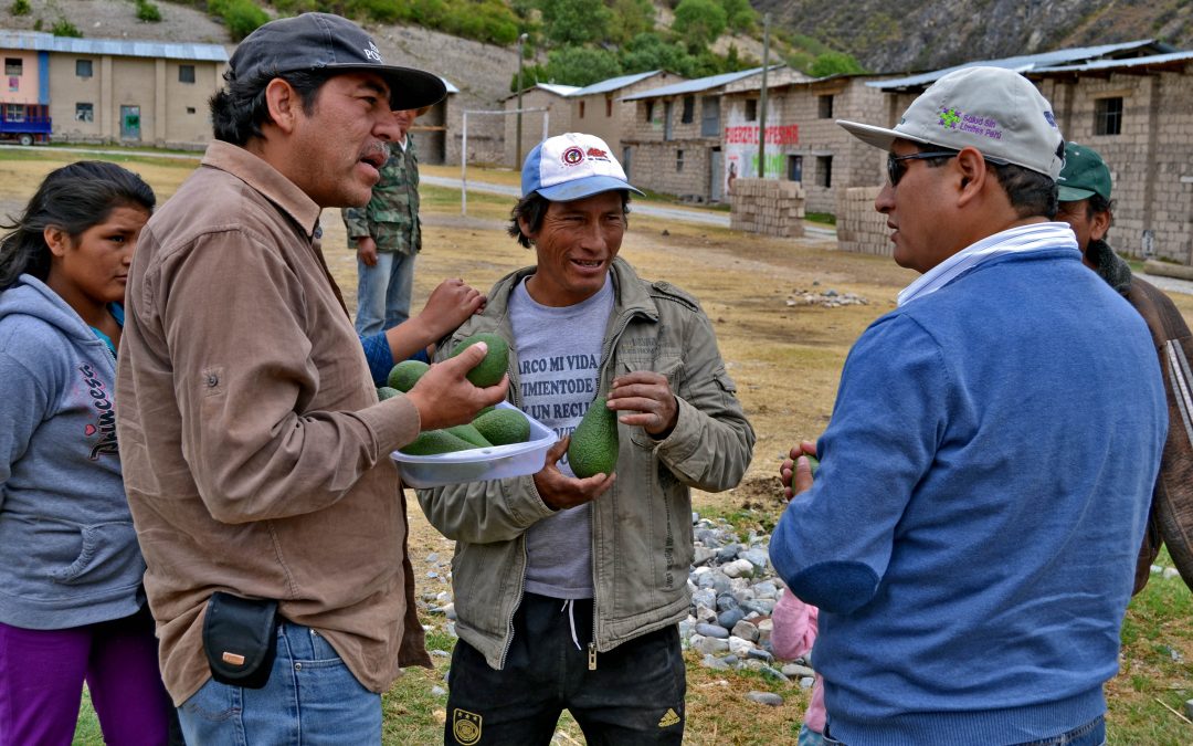530 familias del Ande peruano mejoran su economía gracias Madre Coraje y la Fundación la Caixa