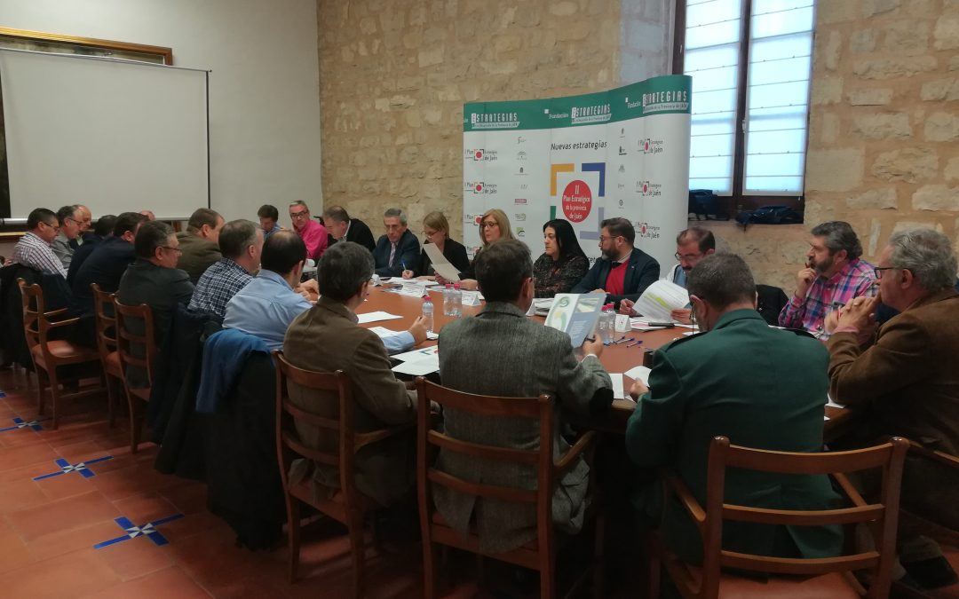 La Comisión de la Estrategia 7 ha analizado el estado de ejecución de las grandes infraestructuras de Jaén