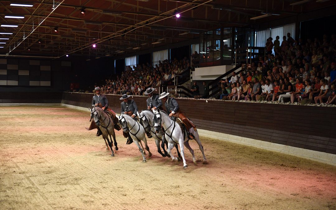 Córdoba Ecuestre abandera la promoción internacional del Caballo Andaluz en Eslovenia