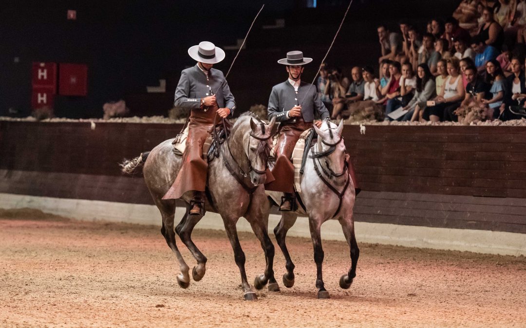 Exitosa participación de Córdoba Ecuestre en Lipica