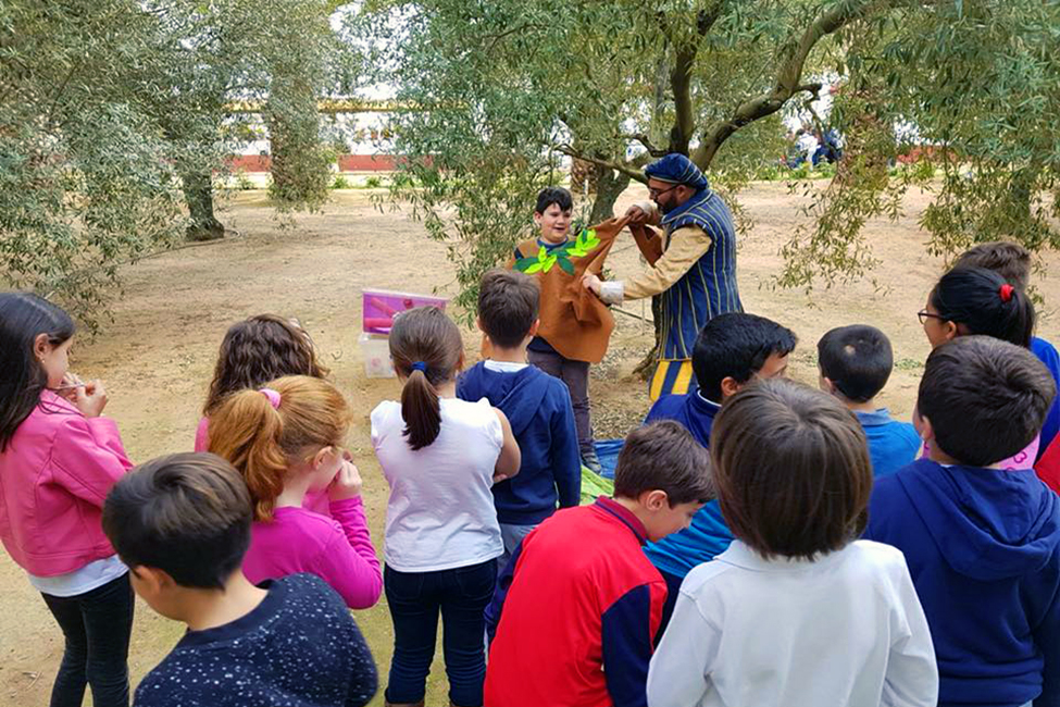 Casi 14.000 escolares sevillanos conocen la importancia de la cultura aceitera con Planeta Olivo