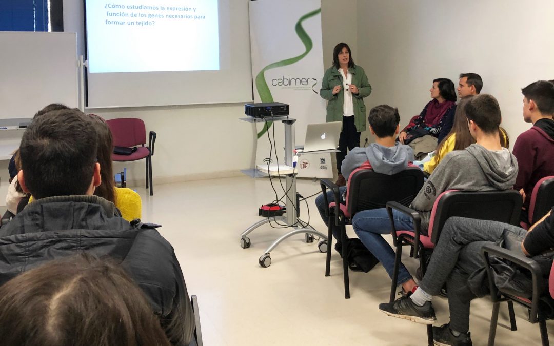 Cabimer abre sus puertas a estudiantes sevillanos en unas jornadas sobre investigación en salud