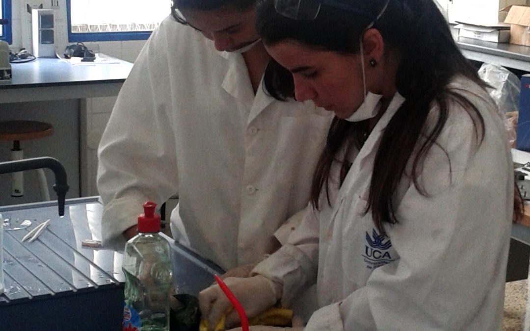 La Fundación Campus Tecnológico de Algeciras prepara una nueva edición del Campus de Verano Experiencias Investigadoras