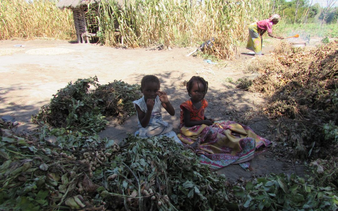 Madre Coraje y la AACID trabajan con 5 comunidades de Mozambique para hacer frente a las sequías e inundaciones