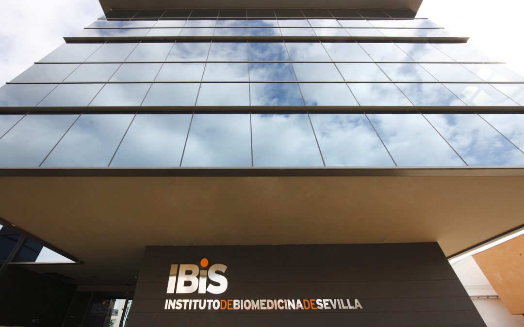 El Instituto de Biomedicina de Sevilla renueva su compromiso con la investigación traslacional y de excelencia