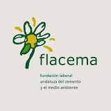 Memoria de Actividades Flacema 2018