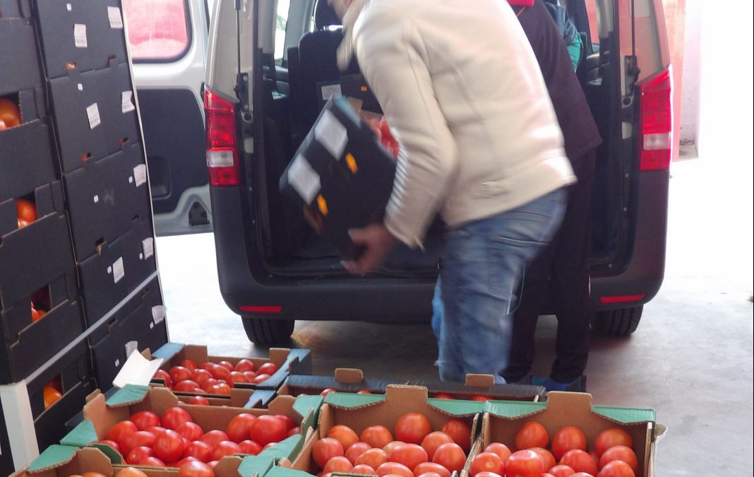 El Banco de Alimentos Medina Azahara de Córdoba hace balance de la campaña 2019 del programa FEGA