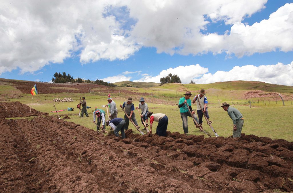La Fundación Social Universal, como entidad miembro de la CAONGD, se suma a la campaña contra el desmantelamiento de la política de cooperación internacional en Andalucía