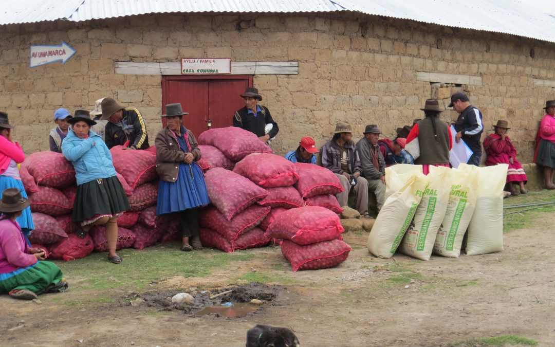 Madre Coraje y el Ayuntamiento de Chiclana se unen por el derecho a la alimentación de 41 familias empobrecidas de Perú