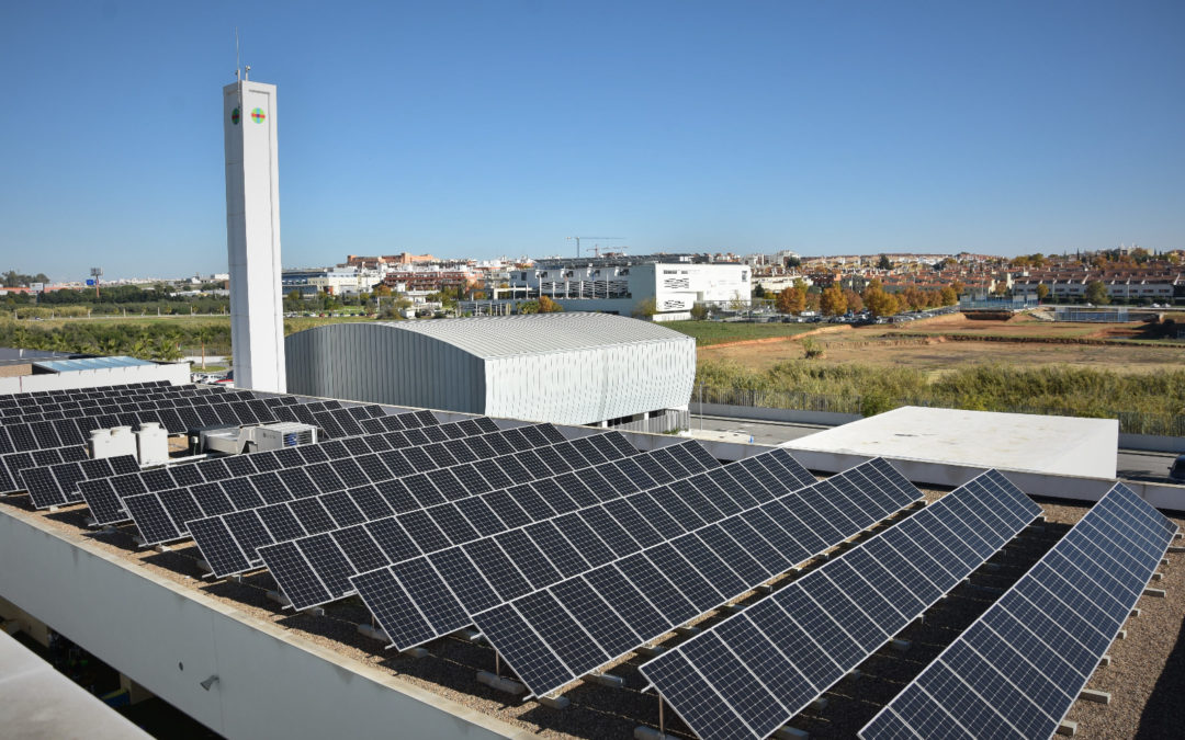 La Fundación San Pablo Andalucía CEU avanza en su compromiso sostenible con la obtención del sello ECO20, que avala el autoconsumo con energía solar