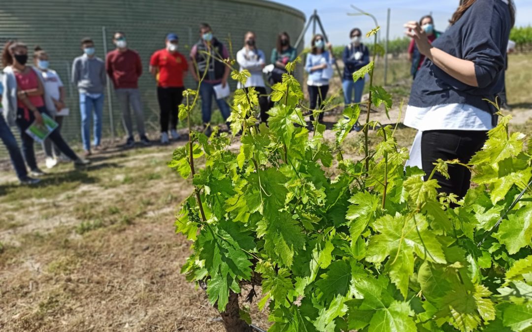La FSU imparte un seminario sobre agricultura ecológica dirigido a jóvenes profesionales de la comarca