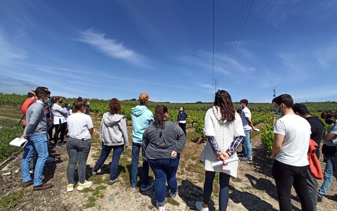 La FSU pone en marcha un servicio de asesoramiento y formación técnica sobre agricultura sostenible para productores de Campiña Sur