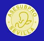 Asociación Sevillana de Protectores de Personas con Discapacidad Intelectual Grave – ASESUBPRO