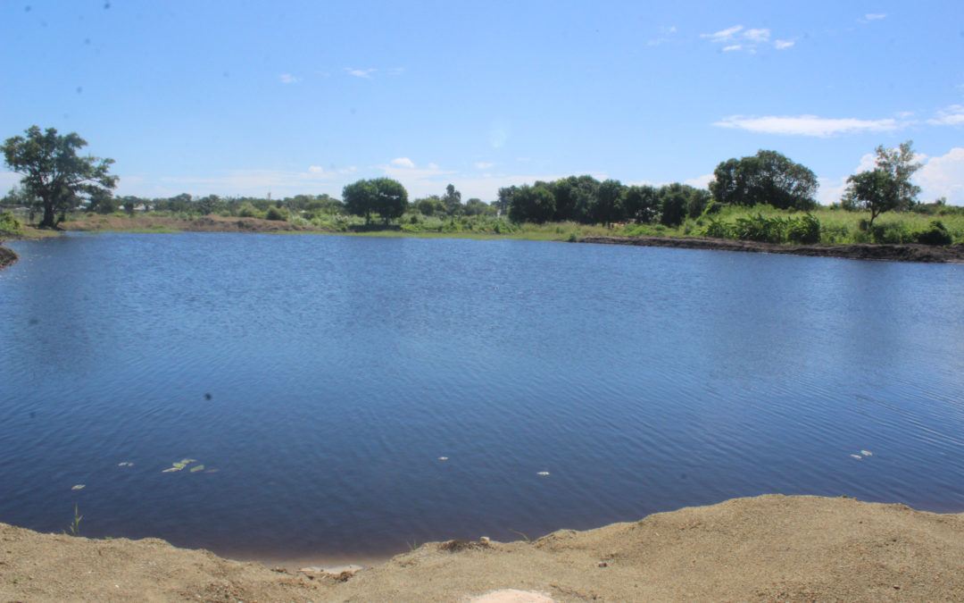 Madre Coraje, la AACID y el Parlamento de Andalucía apoyan el derecho a alimentación, agua y salud de 24.100 personas en Mozambique