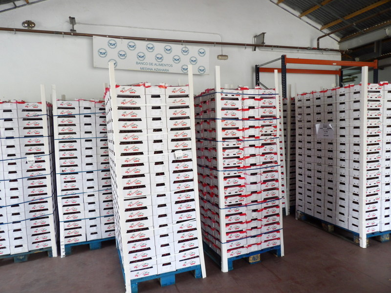 Cerezas del Valle del Jerte en el Banco de Alimentos Medina Azahara de Córdoba