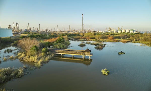 Cepsa celebra el XX aniversario de la restauración de La Laguna Primera de Palos