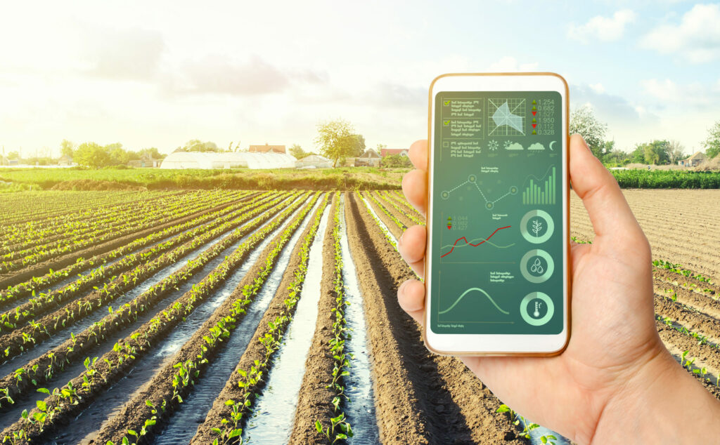 El Programa de Gestión e Innovación de Empresas Agroalimentarias, apuesta del Instituto de Posgrado CEU Andalucía por la formación de calidad en un sector clave