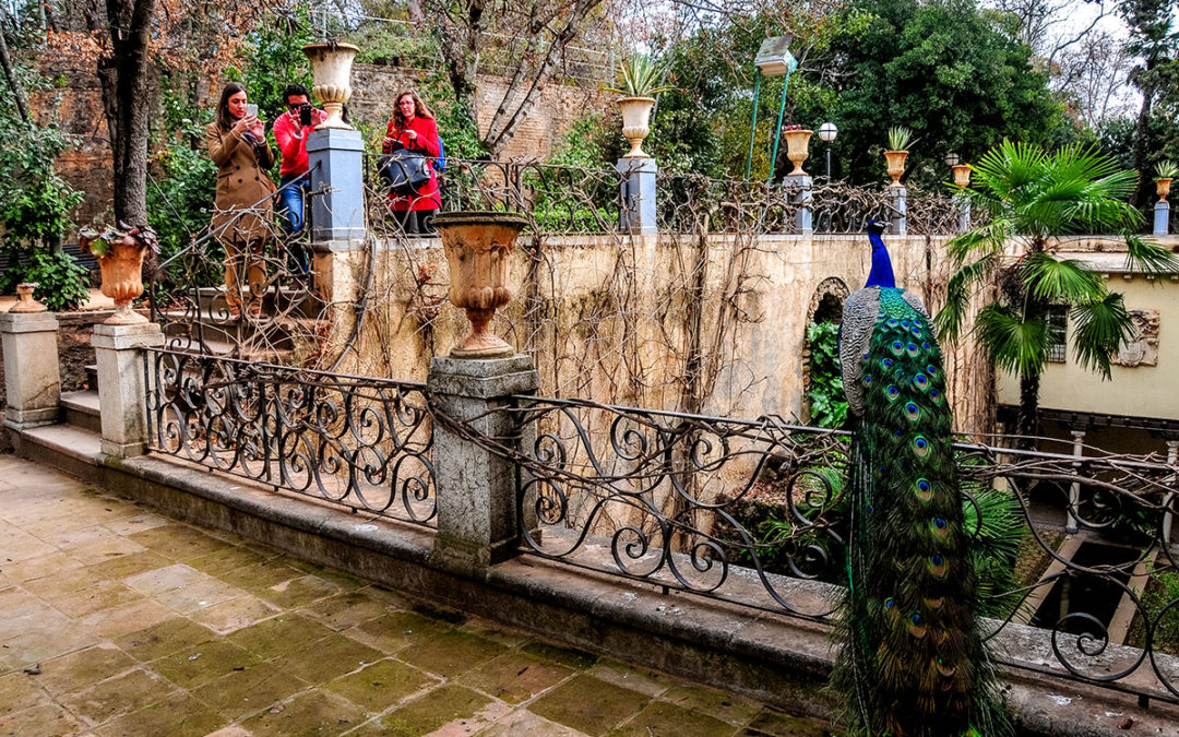 La Fundación AguaGranada oferta nuevas rutas guiadas por el patrimonio natural e histórico de  Granada