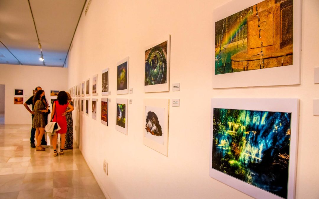 Agua, Vega y Sierra Nevada, temas para el certamen de fotografía AguaGranada