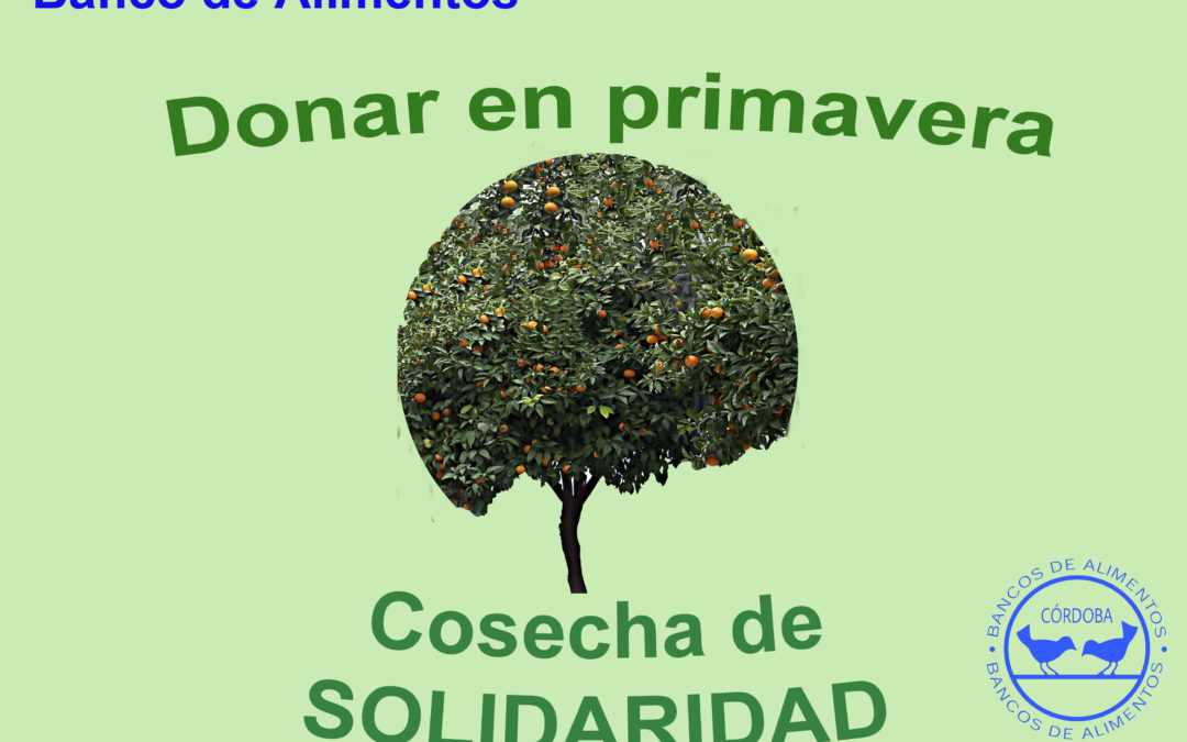 Campaña de donación de alimentos en DEZA del 3 al 7 de mayo