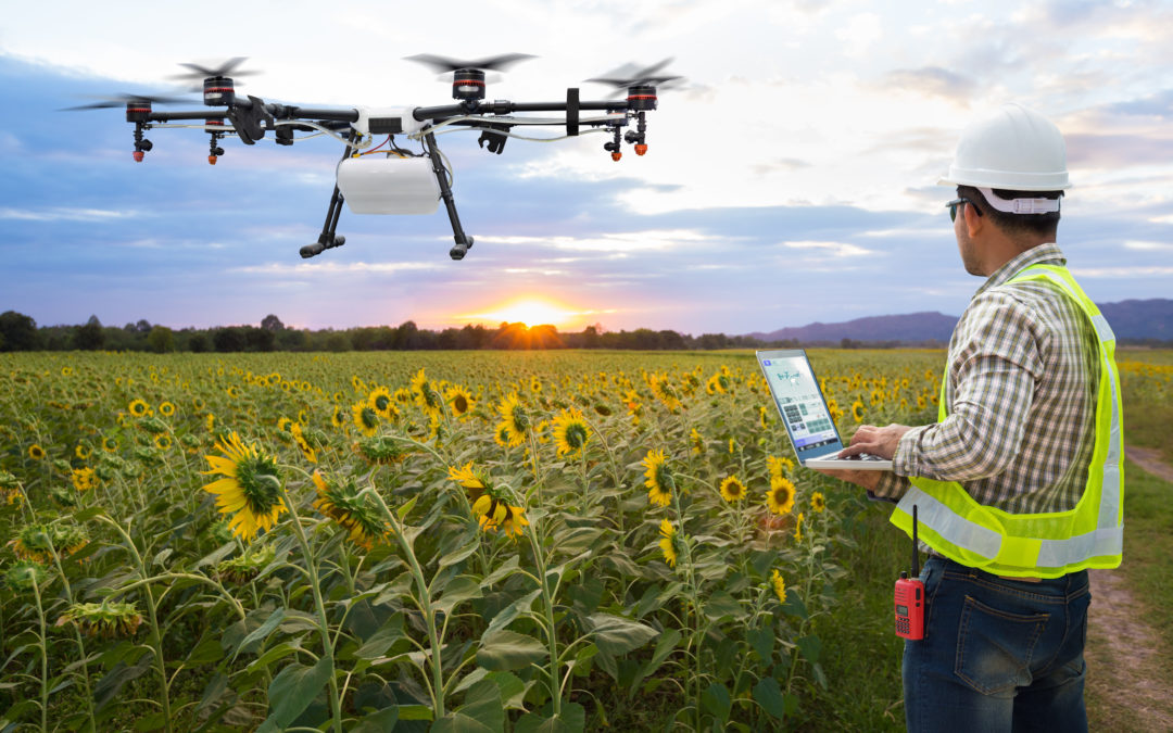 Arranca el proyecto DIVAx para promover proyectos transnacionales de TIC aplicado a agro