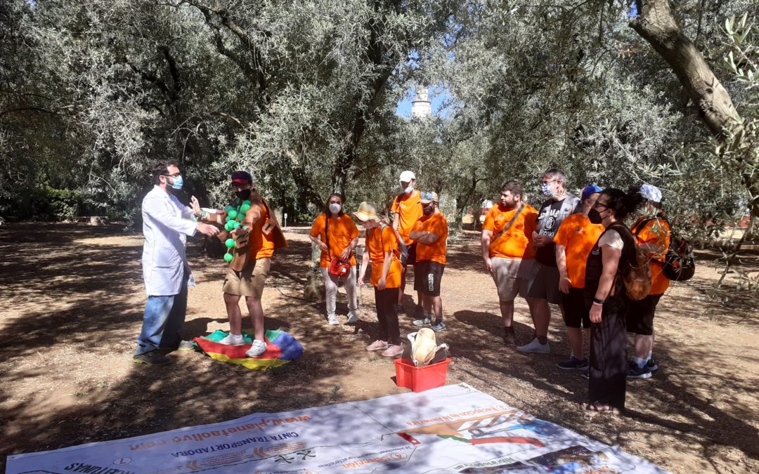 50 usuarios y colaboradores de la Fundación Psicopediatría de Sevilla se acercan a la cultura y tradición aceiteras en la Hacienda Guzmán