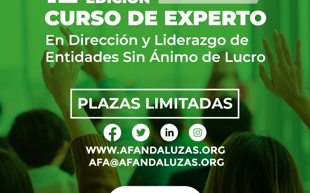 Ya puedes inscribirte al Curso de Experto en Dirección y Liderazgo de Entidades Sin Ánimo de Lucro para 2023