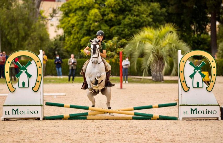 La Real Escuela será sede del próximo Campeonato del Mundo de Equitación de Trabajo