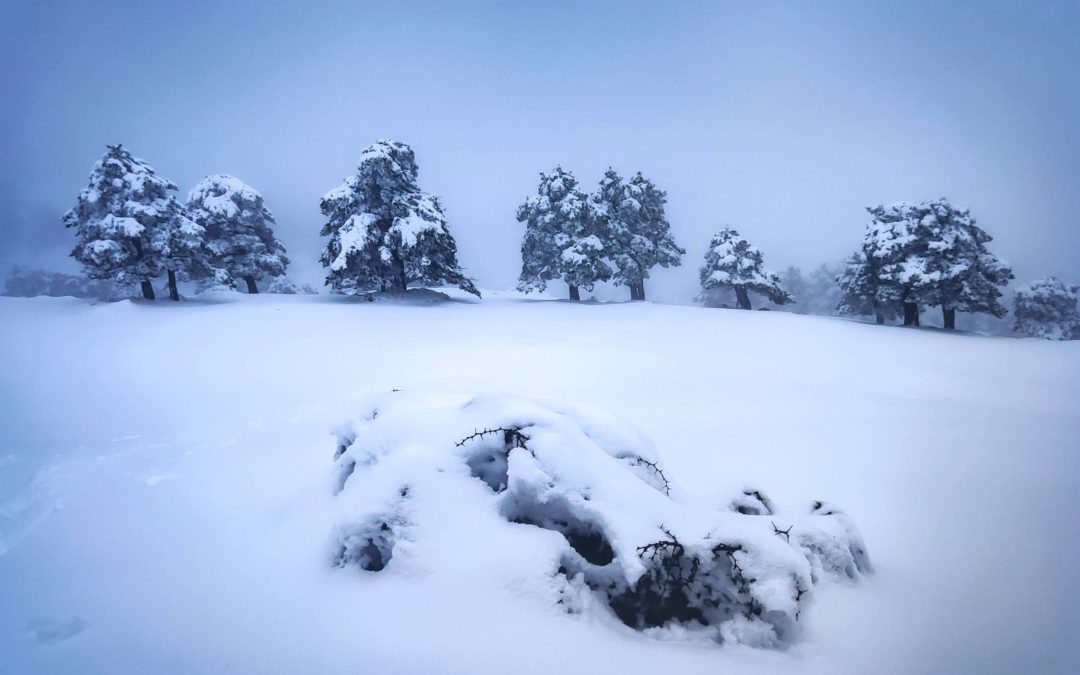 Imágenes de nieve, torrentes y pantanos, ganan el certamen de fotografía AguaGranada