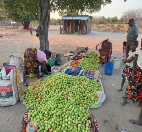 1.039 familias de Mozambique logran acceder a agua potable y a una alimentación segura de la mano de Madre Coraje y la Agencia Andaluza de Cooperación Internacional