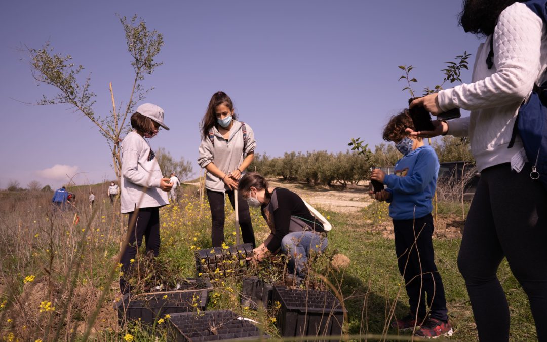 La campaña de reforestación de este invierno da comienzo con la plantación de 50 árboles en Llano Mesto