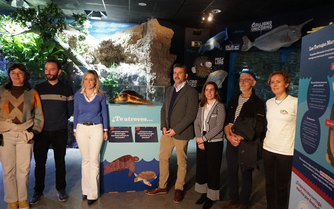El Acuario de Sevilla celebra el Día de la Educación Ambiental con las tortugas marinas como protagonistas