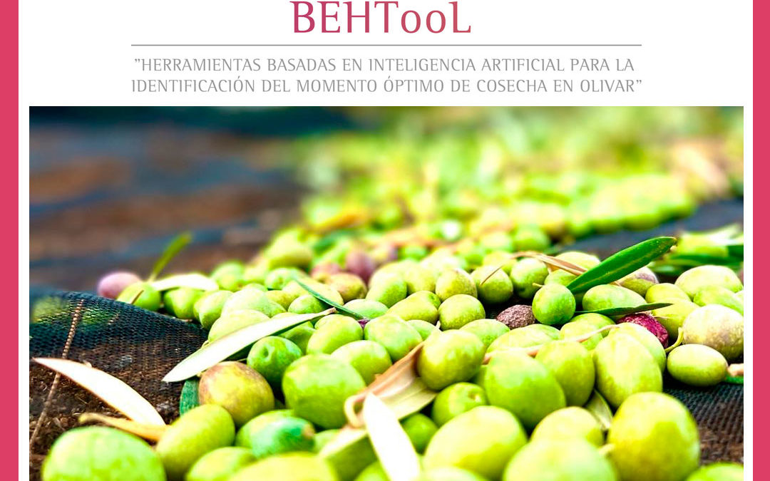 BeHTool, la primera solución de inteligencia artificial que calcula de forma automática el momento óptimo de la recolección en olivar