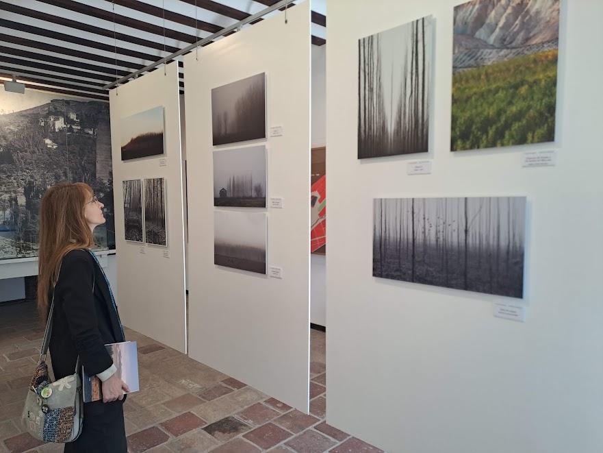 Alamedas, visitas guiadas y edición de libros en la Semana del Agua en el Aljibe del Rey