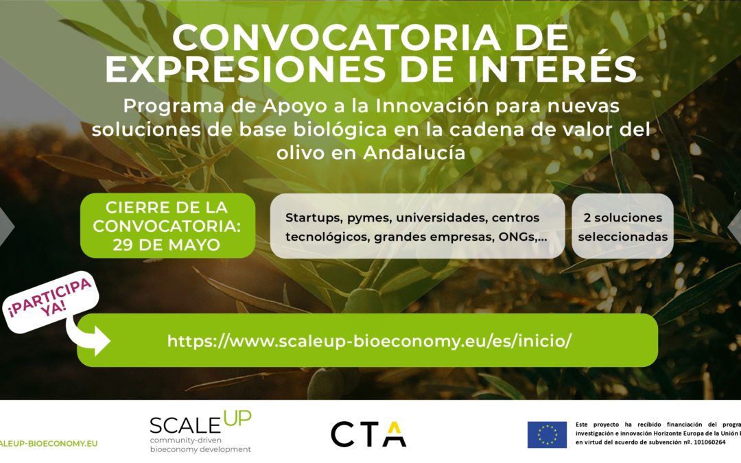 CTA lanza la convocatoria SCALE-UP para iniciativas innovadoras que promuevan la bioeconomía del olivar en Andalucía